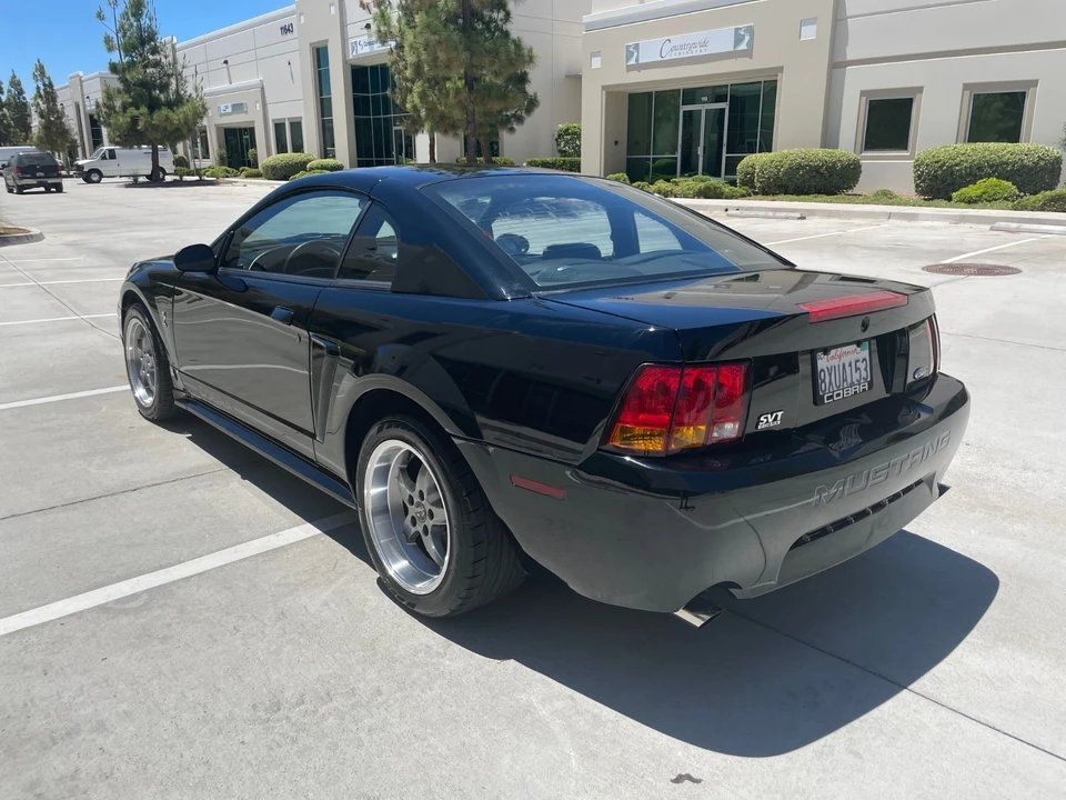 1999 Ford SN95 Mustang Cobra - Image 8 of 21
