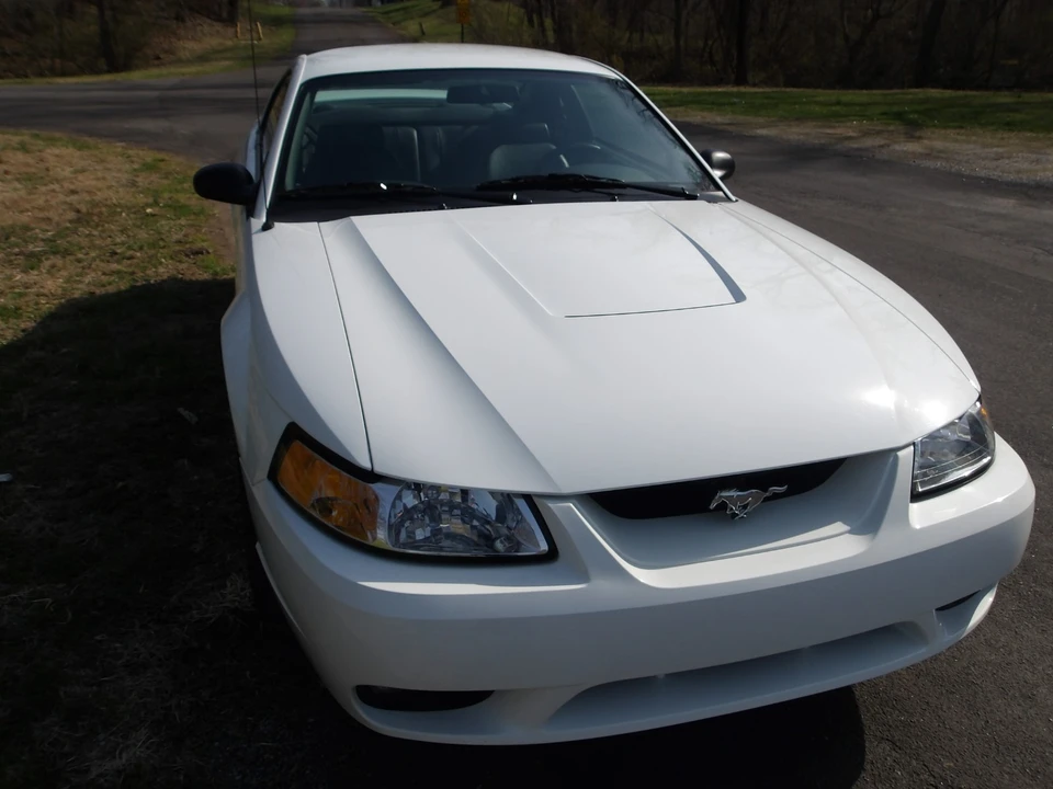 1999 Ford SN95 Mustang Cobra - Image 9 of 31