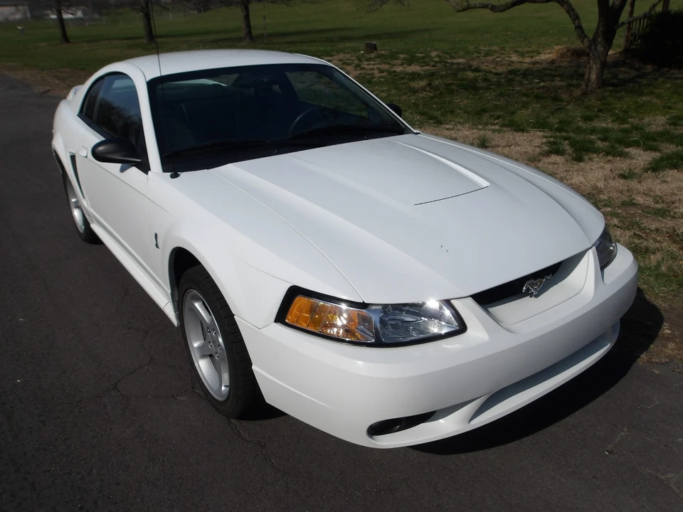 1999 Ford SN95 Mustang Cobra - Image 20 of 31