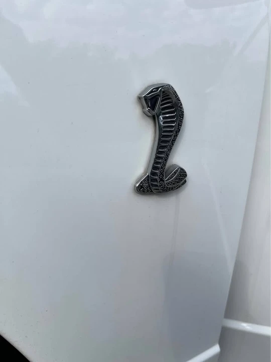1999 Ford SN95 Mustang Cobra - Image 2 of 17