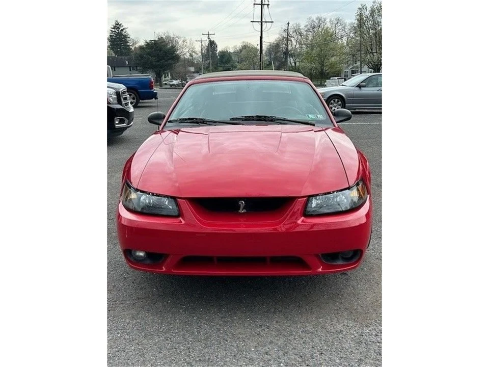 1999 Ford SN95 Mustang Cobra - Image 3 of 13