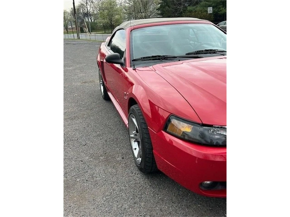 1999 Ford SN95 Mustang Cobra - Image 2 of 13