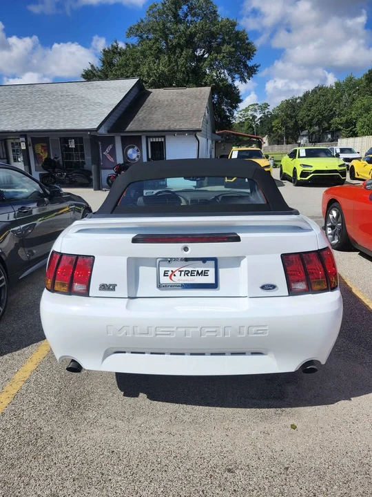 1999 Ford SN95 Mustang Cobra - Image 4 of 10