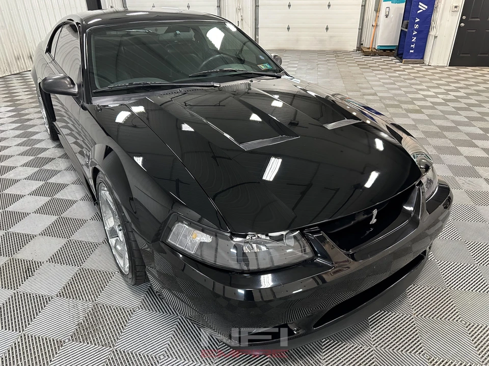 1999 Ford SN95 Mustang Cobra - Image 5 of 31
