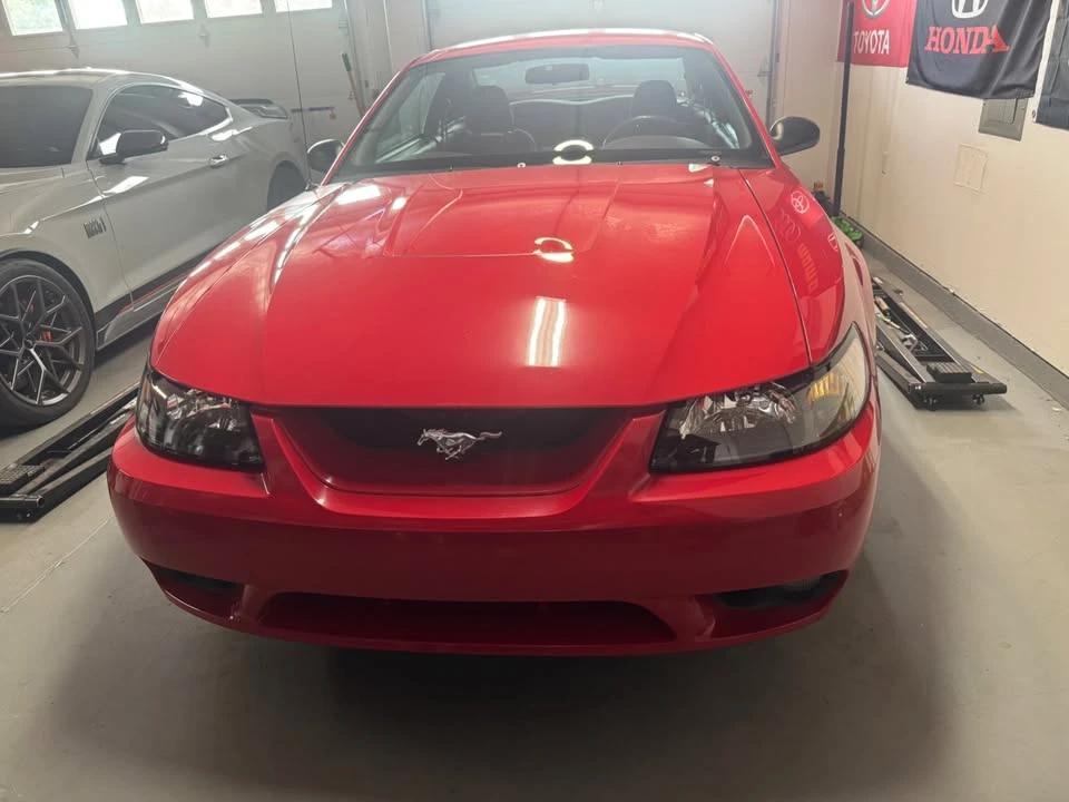 1999 Ford SN95 Mustang Cobra - Image 3 of 13