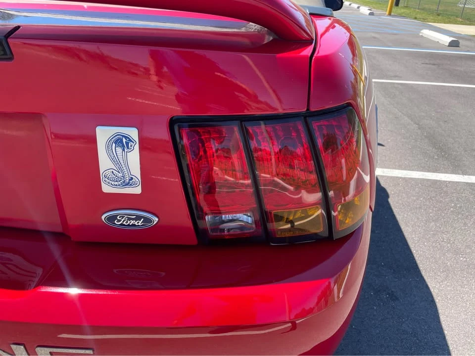 1999 Ford SN95 Mustang Cobra - Image 6 of 20