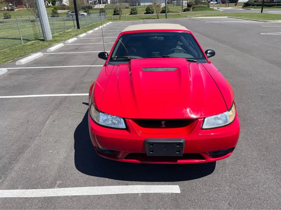 1999 Ford SN95 Mustang Cobra - Image 2 of 20