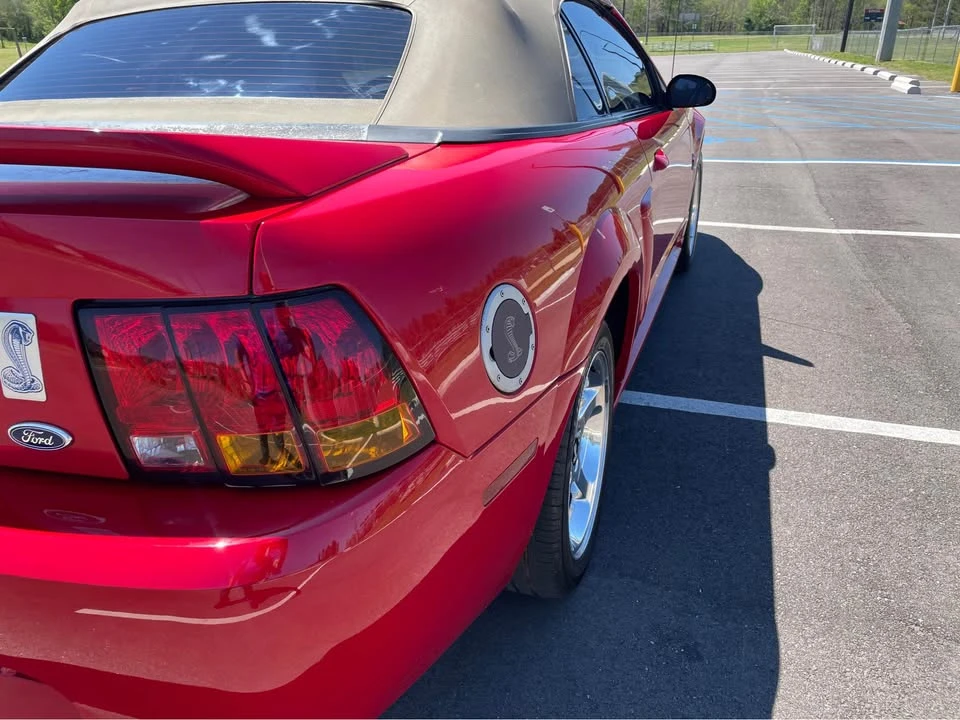 1999 Ford SN95 Mustang Cobra - Image 7 of 20