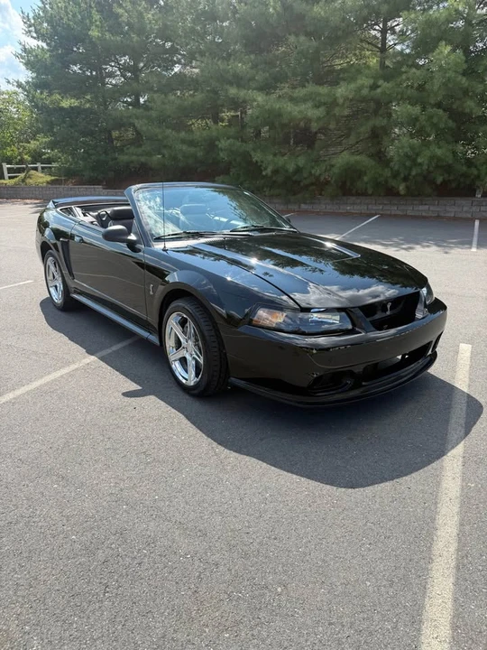 1999 Ford SN95 Mustang Cobra - Image 5 of 17