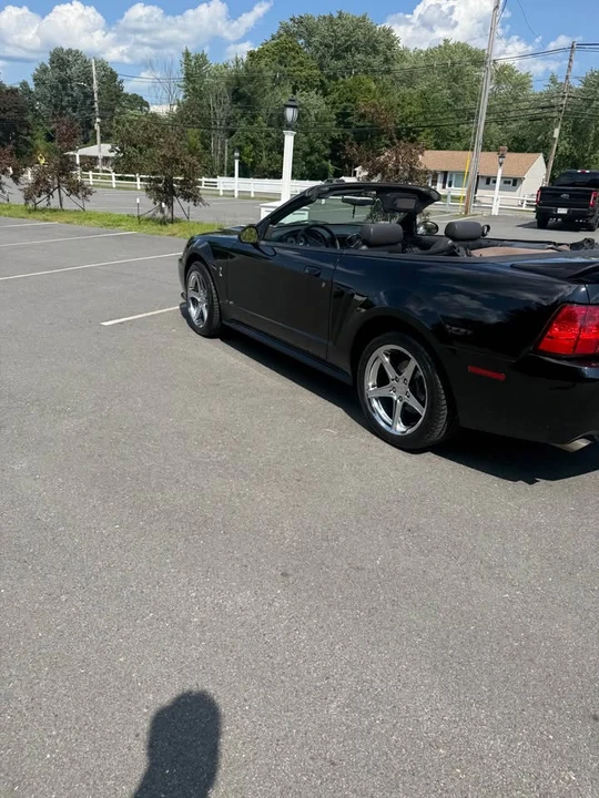1999 Ford SN95 Mustang Cobra - Image 10 of 17