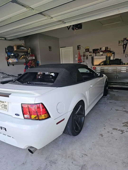 1999 Ford SN95 Mustang Cobra - Image 4 of 6