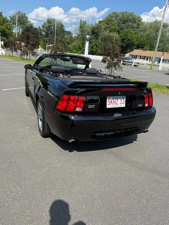 1999 Ford SN95 Mustang Cobra - Image 8 of 17
