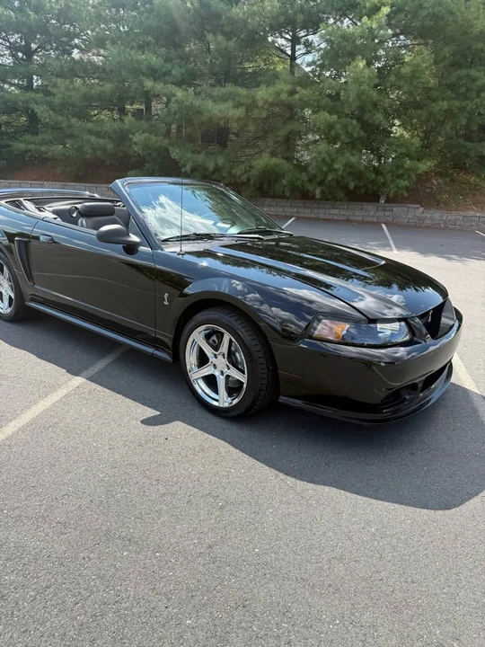 1999 Ford SN95 Mustang Cobra - Image 4 of 17