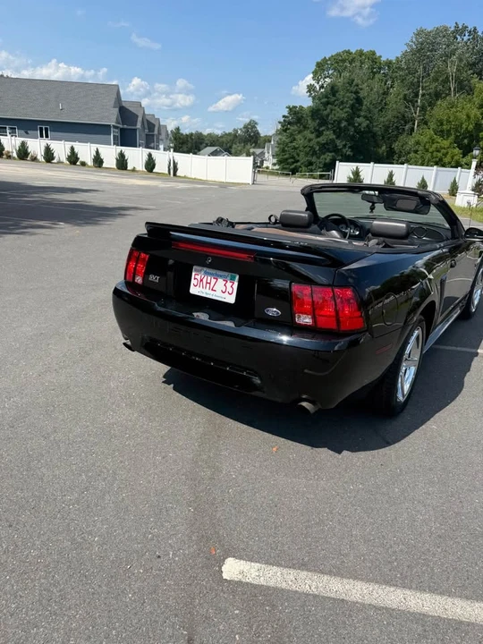 1999 Ford SN95 Mustang Cobra - Image 6 of 17