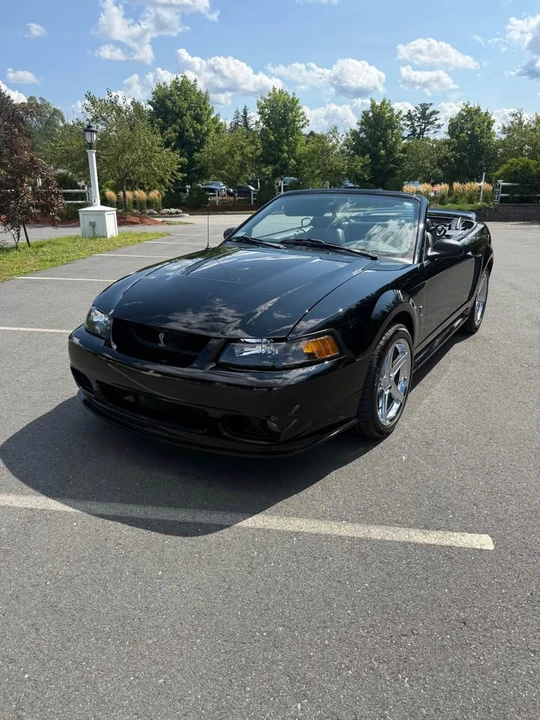1999 Ford SN95 Mustang Cobra - Image 2 of 17