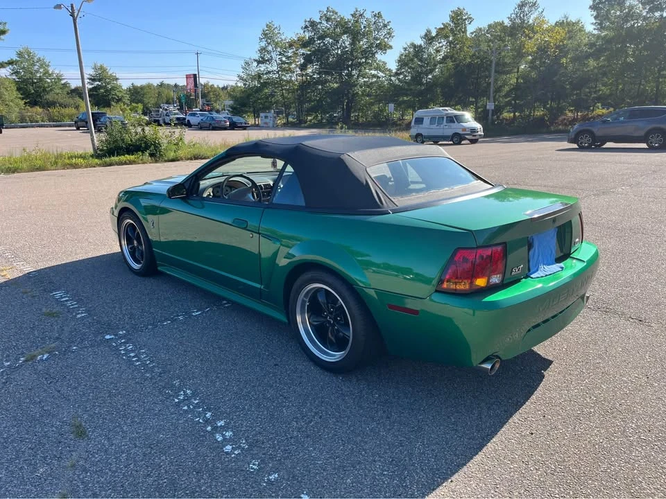1999 Ford SN95 Mustang Cobra - Image 2 of 16