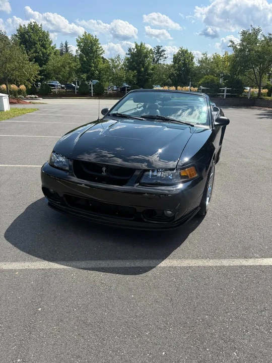1999 Ford SN95 Mustang Cobra - Image 3 of 17