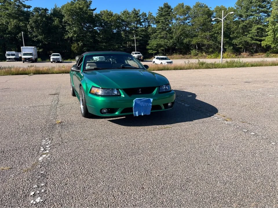1999 Ford SN95 Mustang Cobra - Image 3 of 16