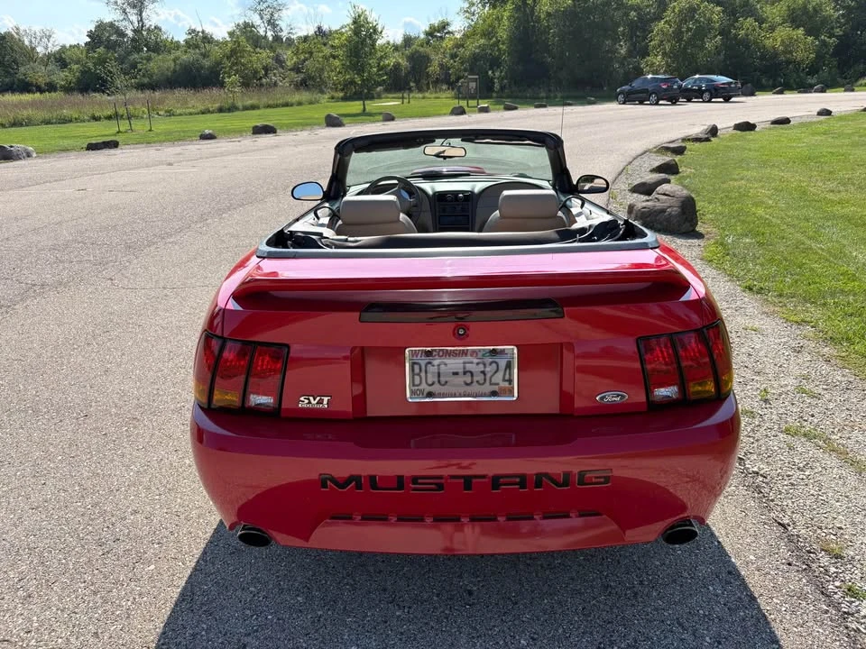 1999 Ford SN95 Mustang Cobra - Image 6 of 17