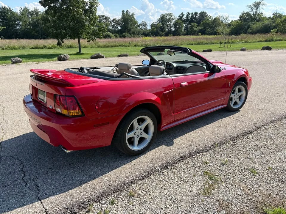 1999 Ford SN95 Mustang Cobra - Image 4 of 17
