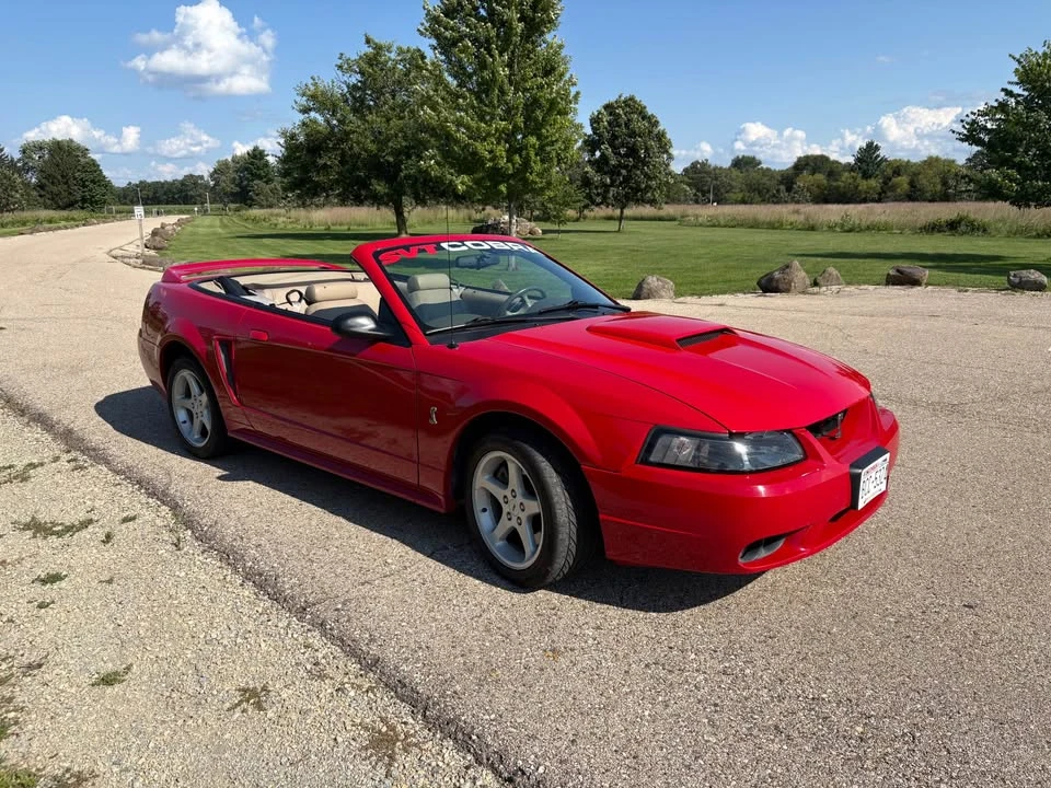 1999 Ford SN95 Mustang Cobra - Image 17 of 17