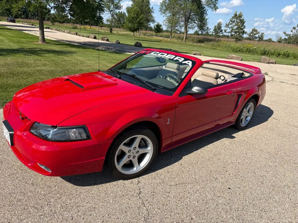 1999 Ford SN95 Mustang Cobra - Image 3 of 17