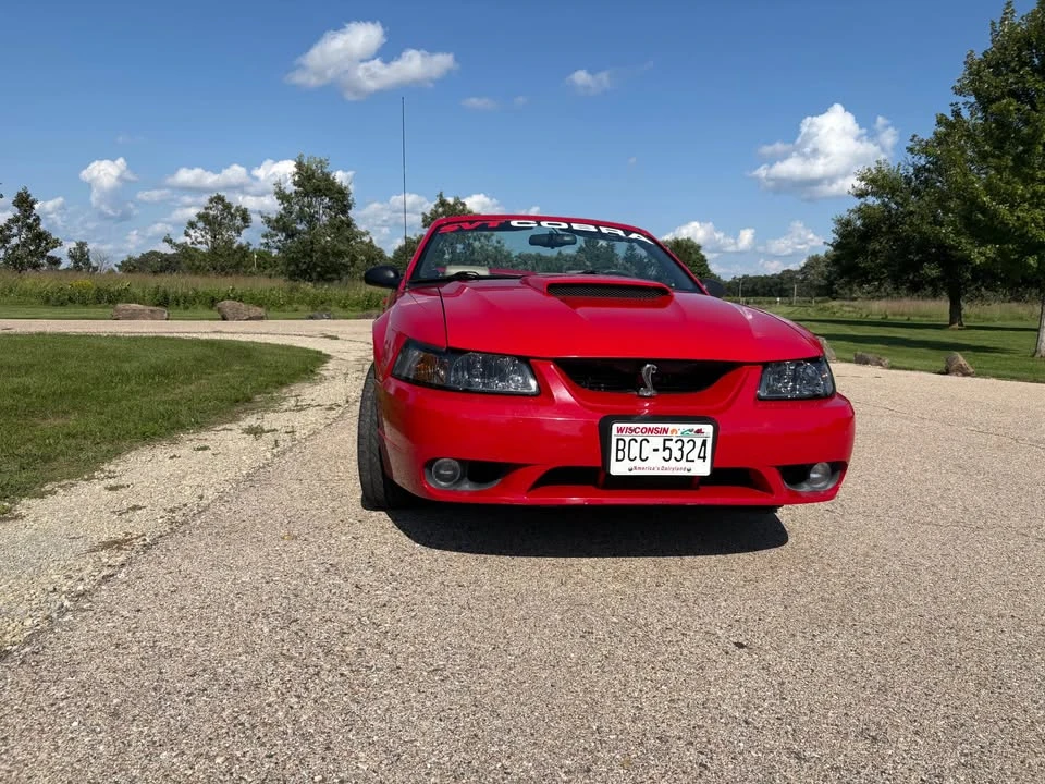 1999 Ford SN95 Mustang Cobra - Image 2 of 17