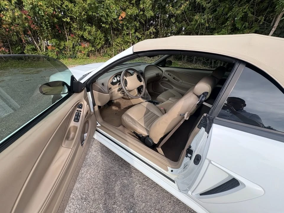 1999 Ford SN95 Mustang Cobra - Image 4 of 10