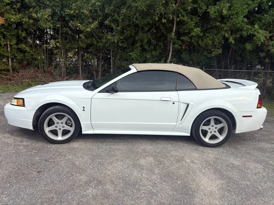 1999 Ford SN95 Mustang Cobra - Image 2 of 10