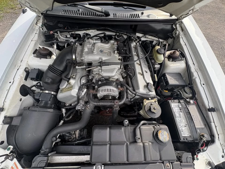 1999 Ford SN95 Mustang Cobra - Image 6 of 10