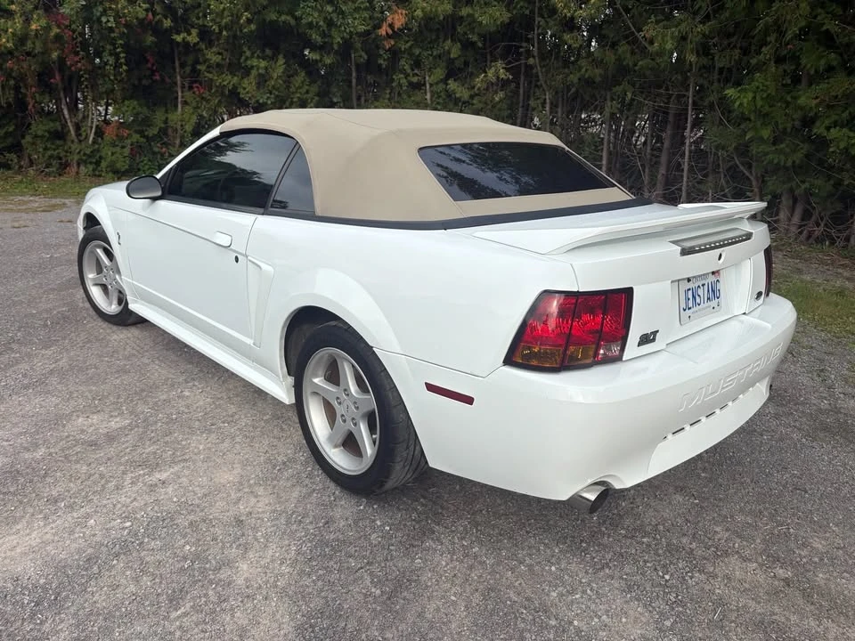 1999 Ford SN95 Mustang Cobra - Image 3 of 10