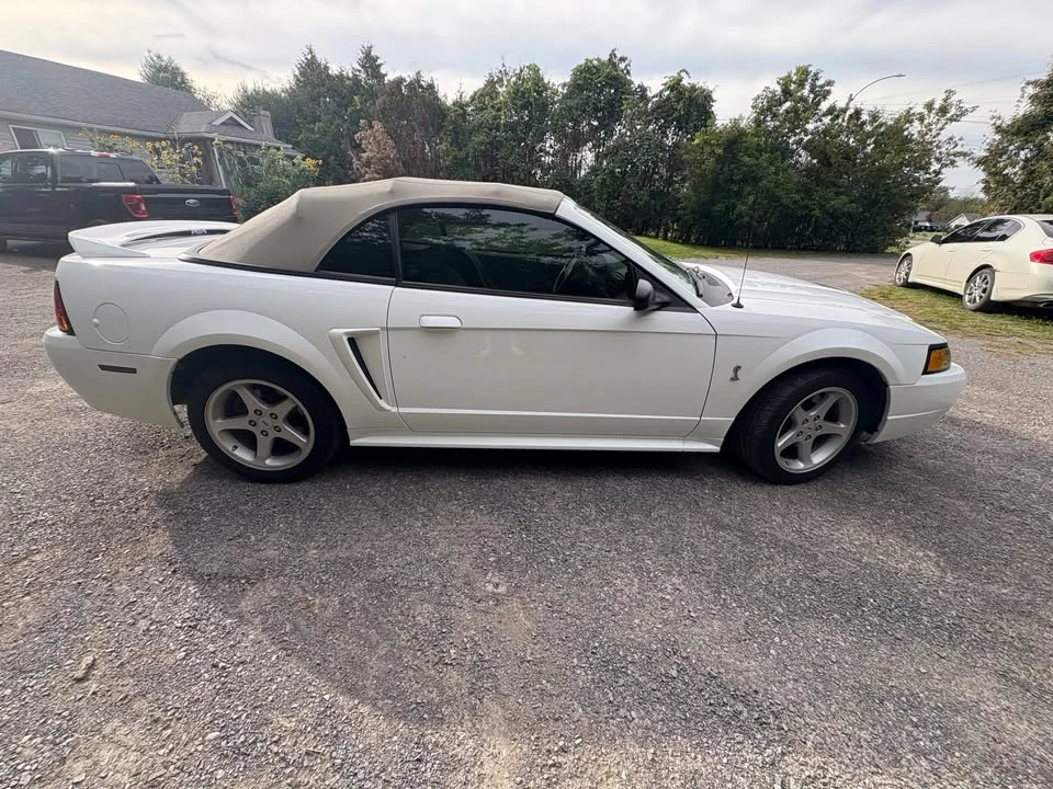 1999 Ford SN95 Mustang Cobra - Image 8 of 10