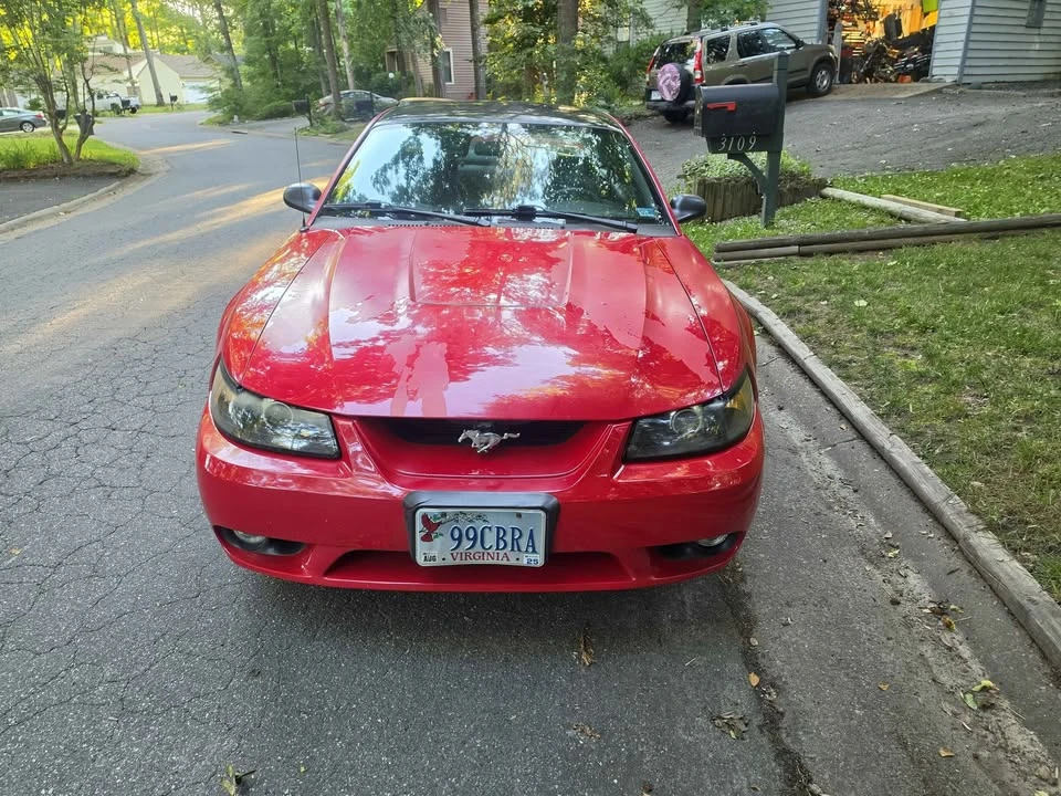 1999 Ford SN95 Mustang Cobra - Image 3 of 9