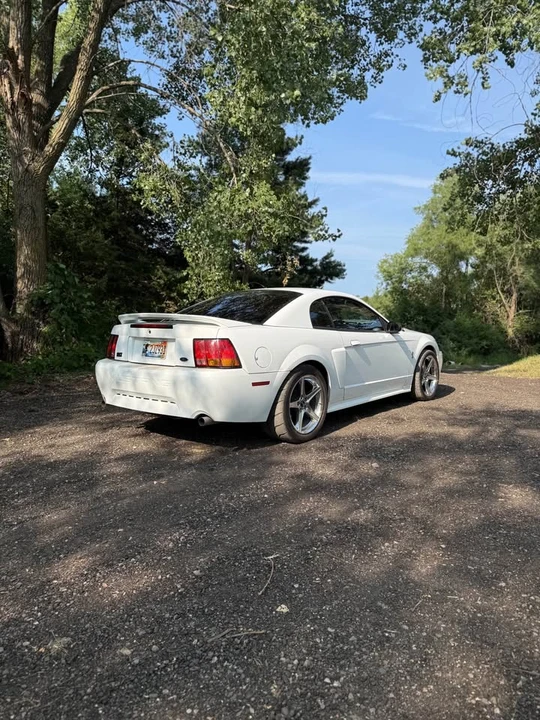 1999 Ford SN95 Mustang Cobra - Image 4 of 6