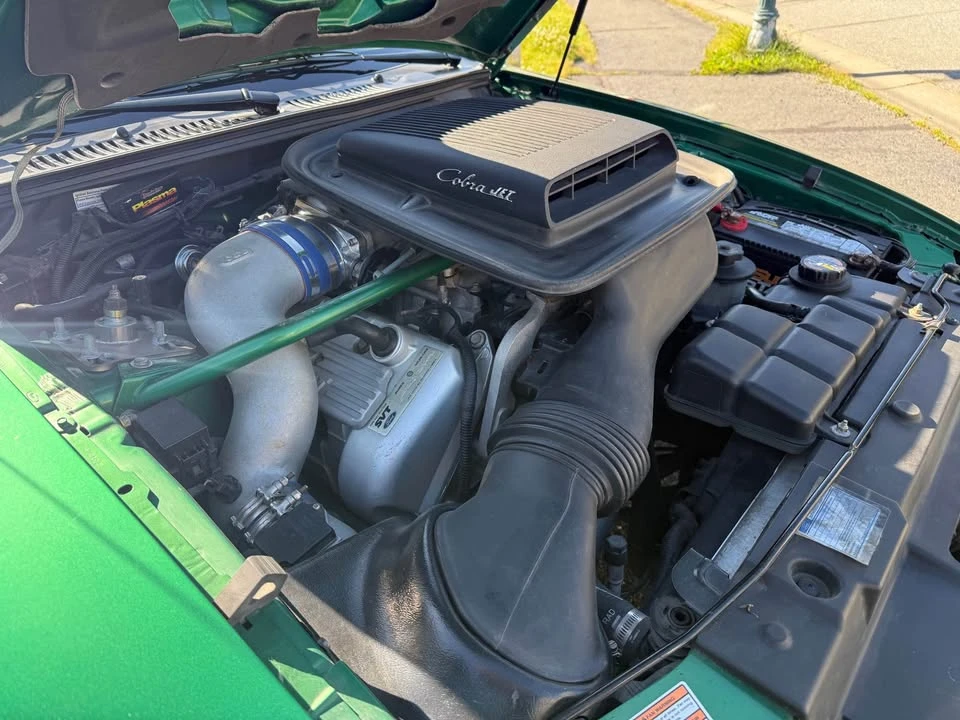 1999 Ford SN95 Mustang Cobra - Image 8 of 16