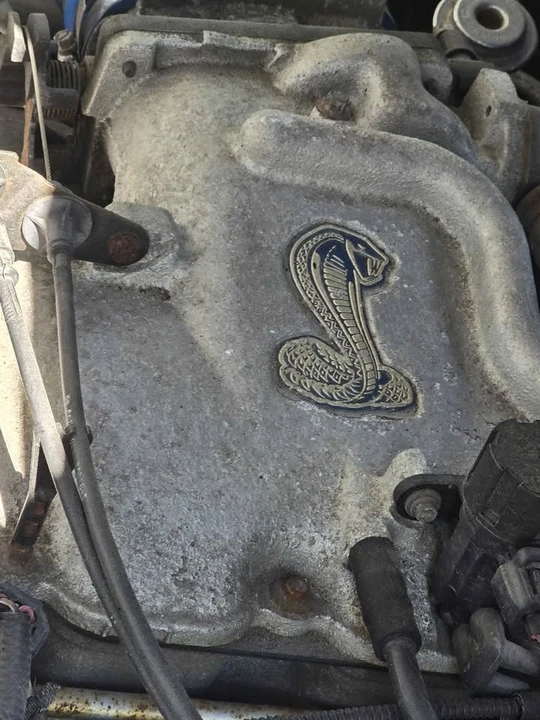 1999 Ford SN95 Mustang Cobra - Image 5 of 7