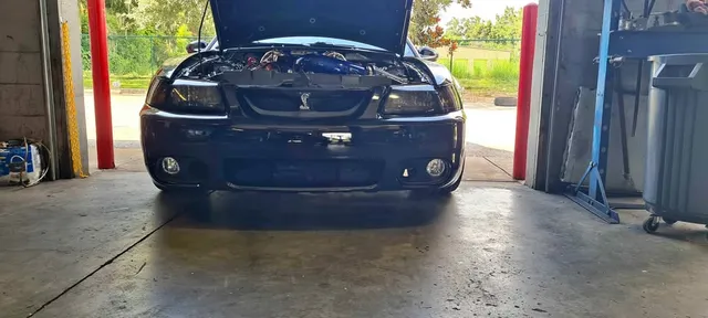 1999 Ford Mustang Cobra SVT Coupe 2D