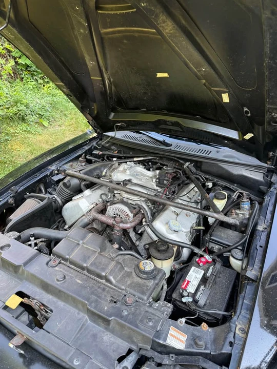 1999 Ford SN95 Mustang Cobra - Image 14 of 15