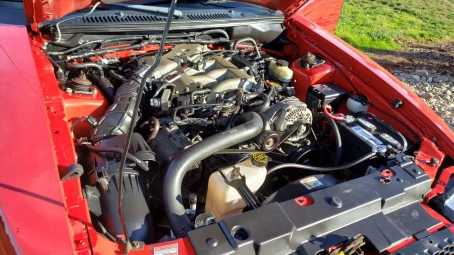 1999 Ford SN95 Mustang - Image 10 of 11