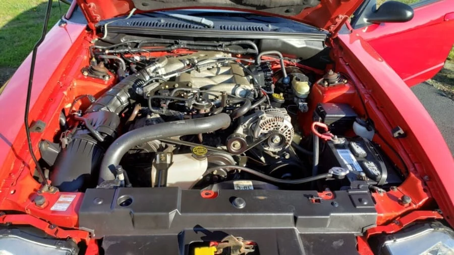 1999 Ford SN95 Mustang - Image 11 of 11