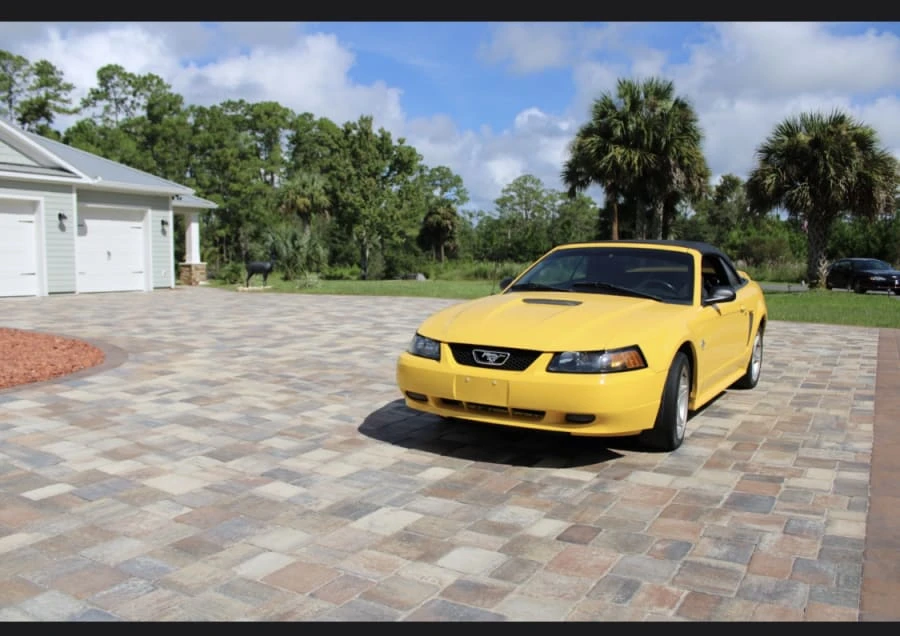 1999 Ford SN95 Mustang - Image 2 of 2