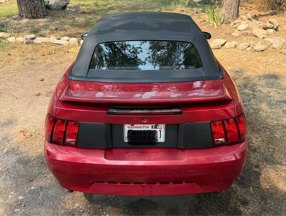 1999 Ford SN95 Mustang - Image 10 of 13