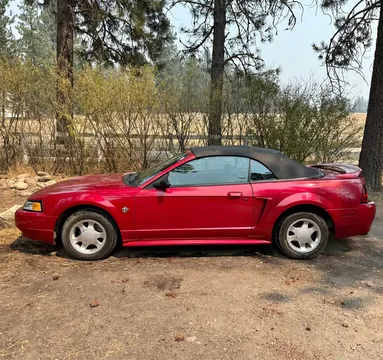 1999 Ford Mustang Convertible 2D