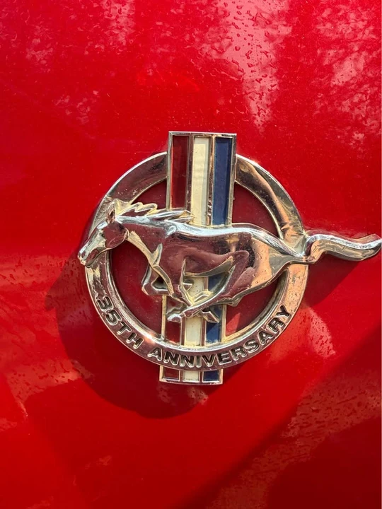 1999 Ford SN95 Mustang - Image 3 of 13