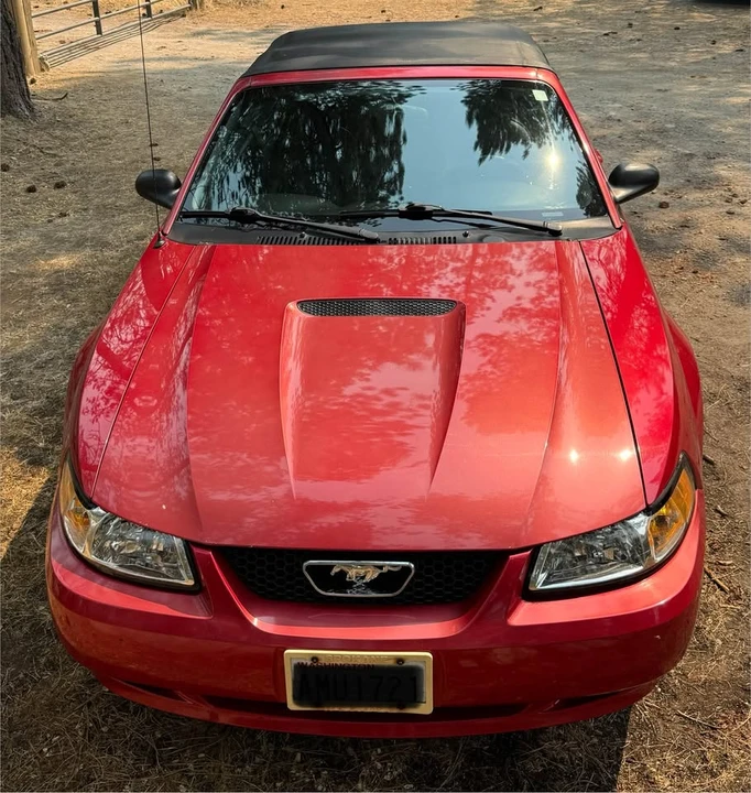 1999 Ford SN95 Mustang - Image 12 of 13