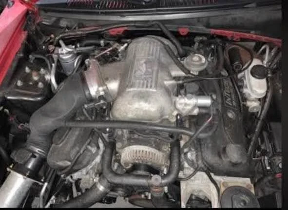 1999 Ford SN95 Mustang - Image 4 of 5