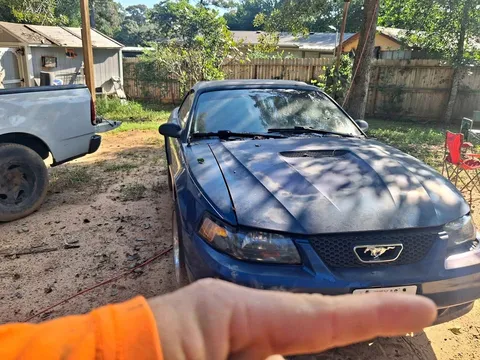 1999 Ford Mustang Convertible 2D