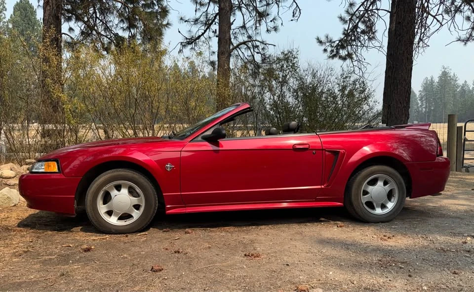 1999 Ford SN95 Mustang - Image 2 of 13
