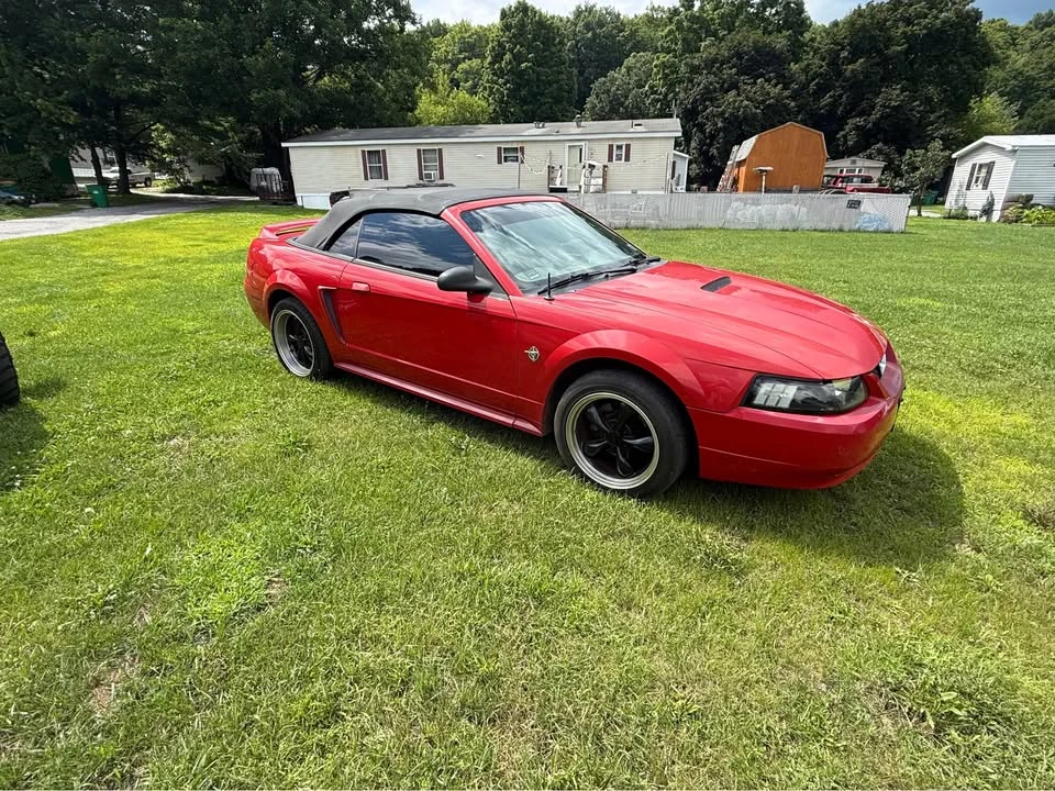 1999 Ford SN95 Mustang - Image 3 of 14