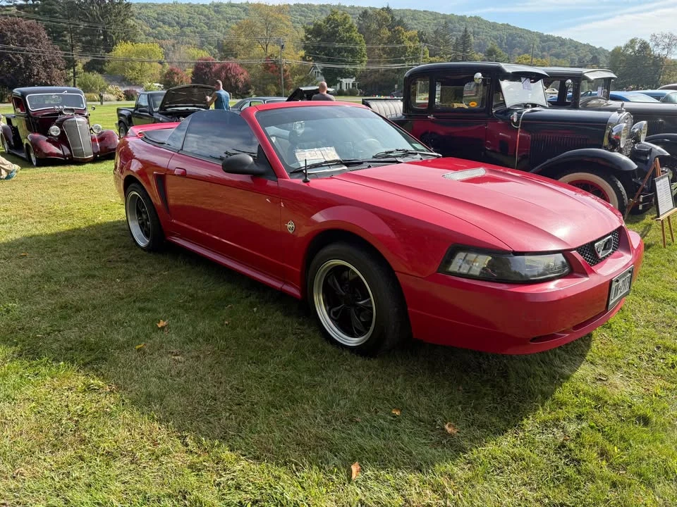1999 Ford SN95 Mustang - Image 10 of 14